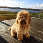 Roxie_dawson_223 - @roxie_dawson_223 - Instagram
