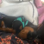 @roxie_lynn_farris - Instagram
