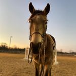 Roxie Ford - @roxie._.chaplian_allday - Instagram