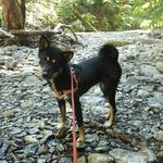 Roxie Kailan Ford - @thelifeofroxiekailan - Instagram