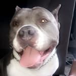 Roxie Montgomery Marie foster - @roxie._foster - Instagram