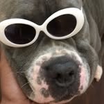 Roxie Montgomery Marie Foster - @mommaroxiee - Instagram