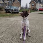 roxie gibson - @roxie_gsp - Instagram