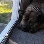 Roxie Gibson - @roxie_12gibson - Instagram