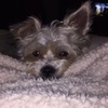 Roxie Hampton - @rox_16 - TikTok