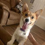 Roxie🎀 - @roxieharrell5518 - Instagram