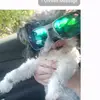 roxie.hendrick - @roxiehendrick - TikTok