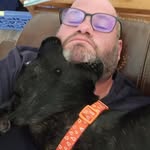 Roxie Hugo Remmy Ivy - @parts_4_pups - Instagram