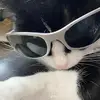 roxie - @roxiekey - TikTok