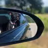#1 doggie 🐶 - @roxie.may_1 - TikTok