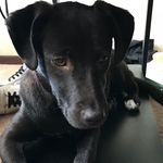Roxie_May - @roxiemaymay - Instagram