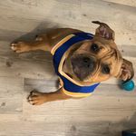 Roxie May - @roxieeeemay - Instagram
