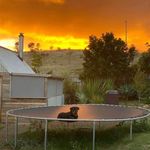 Roxie May Dix - @roxie_the.rottie - Instagram