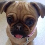 Roxie-may#juglife - @roxiemayjuglife - Instagram