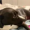 RoxieMay_44 - @roxiemay_44 - TikTok