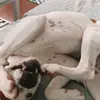 roxiemay_ - @roxiemay_ - TikTok