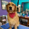 Roxy - @roxie..may - TikTok