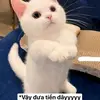 Mai Phương My - @roxiemurphy835 - TikTok