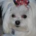 Roxie Murphy - Facebook