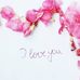 Roxanne Pitts - Facebook