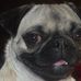 Roxie Schultz - Facebook