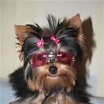 Roxie Thomas - Facebook