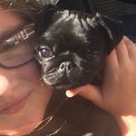 Roxie Walker - @roxie_walker1234pugs - Instagram