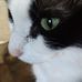 Roxy Warner White - Facebook