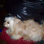 Roxie Williams - @roxie.williams.52012 - Instagram