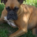 Roxy Bertram - Facebook
