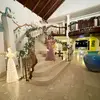 Roxy Camacho - @roxydepagoa2 - TikTok