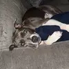 roxycamacho61 - @roxy35341 - TikTok
