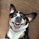 Mavis Roxy Riggs - @mavy_baby_barooo - Instagram