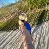 Roxy - @roxybriggs - TikTok