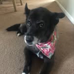 Roxy Russo - @roxyrusso13 - Instagram