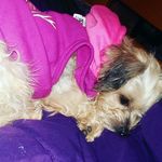 Roxy Ann Watson - @stormywatson05 - Instagram