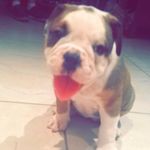 Roxy Watson - @roxy_watson44 - Instagram