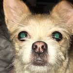 Roxy Wright - @roxy.insta1 - Instagram