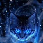 Roy Abad - Facebook