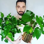 Roy Acord - @verdantdyogram - Instagram