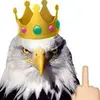 Royal Adler XD - @royal.adler.xd - TikTok