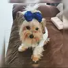 royalmeida466 - @royalmeida466 - TikTok