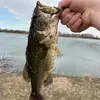 Roy Alvey - @alveyroy78 - TikTok