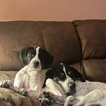 Roy Ames - @rames3412 - Instagram