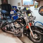 Roy Andersen - @pusburger - Instagram