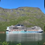Roy Morten Andersen - @cruiselikenorwegianroy - Instagram