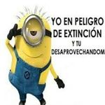 Roy Andres - @roy__andres - Instagram
