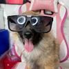 Roy_Andres - @royandresguau - TikTok