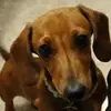royatkinson239 - @royatkinson239 - TikTok