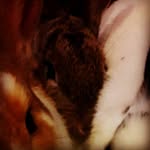 Roy augustsson - @augustssonroy - Instagram